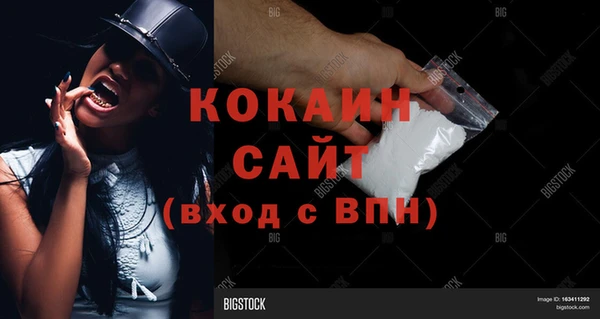 тгк Магас