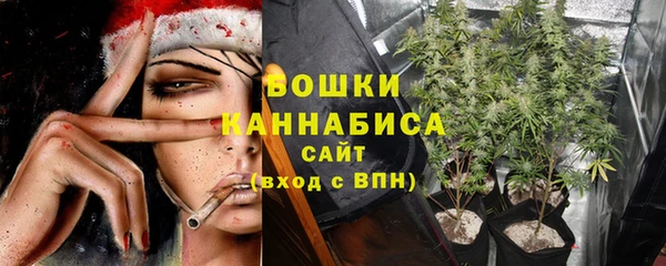 тгк Магас